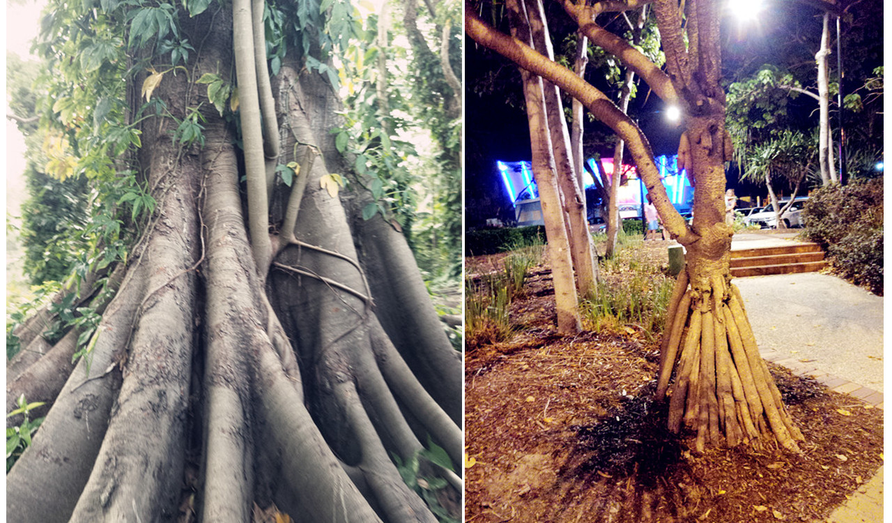 优能全的父母，最会养出无能的孩子