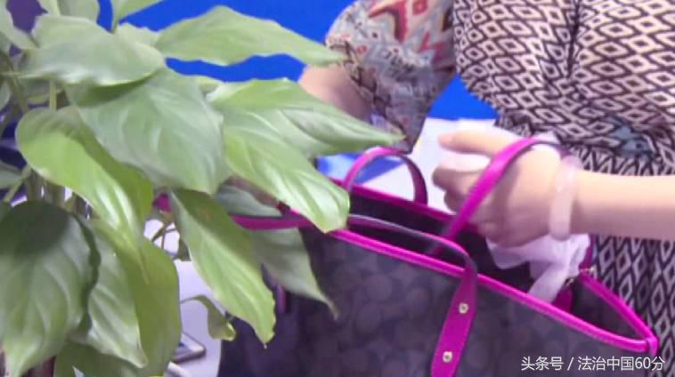 重庆一女子买千元衣服退货遭拒,江苏一女子买2000元包连续退款