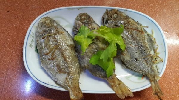 又到吃海蛎子的季节,又到了吃海鲜的季节生蚝