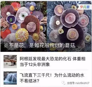 怎么能把年龄修改一下qq,qq年龄改为未成年后经历