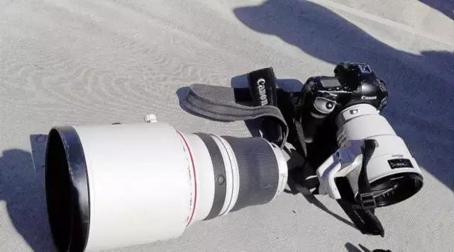 相机是个很好的朋友,相机是我的伴侣