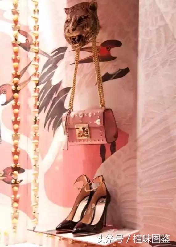 不出国门就能买到全球好物,不出家门看遍世界