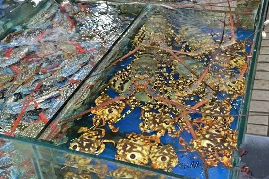 开海不开海去饭店吃海鲜有区别吗,开海了南宁去哪里买海鲜