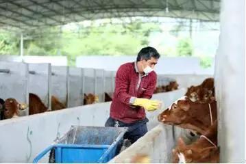 三大养殖业前景,养殖业巨头业绩排名第一