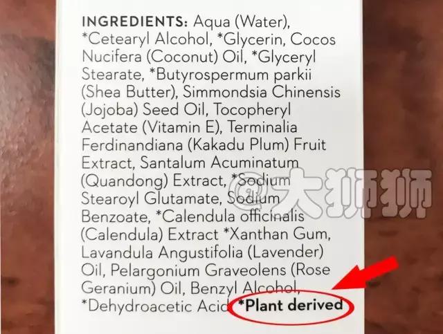 澳洲知名华人博主,澳洲华人网红博主