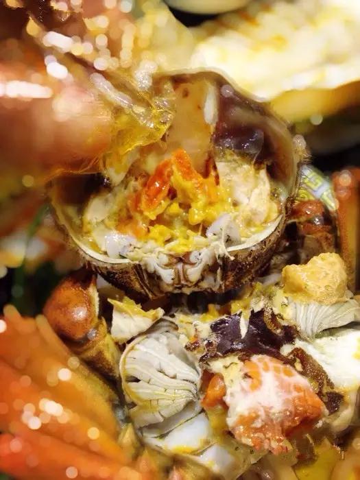 天津十大必吃的食物,吃天津的海鲜美食