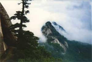 春天来了可以去哪里游玩呢,春天辽宁旅游攻略