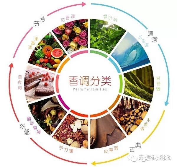 蒂普提克柑橘调香水,柑橘调香水推荐