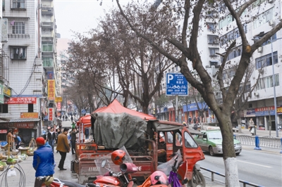 “霸王级”寒潮重创达城花木