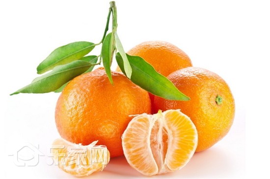 冰箱除味剂有异味,停电冰箱肉类腐烂冰箱异味怎么除