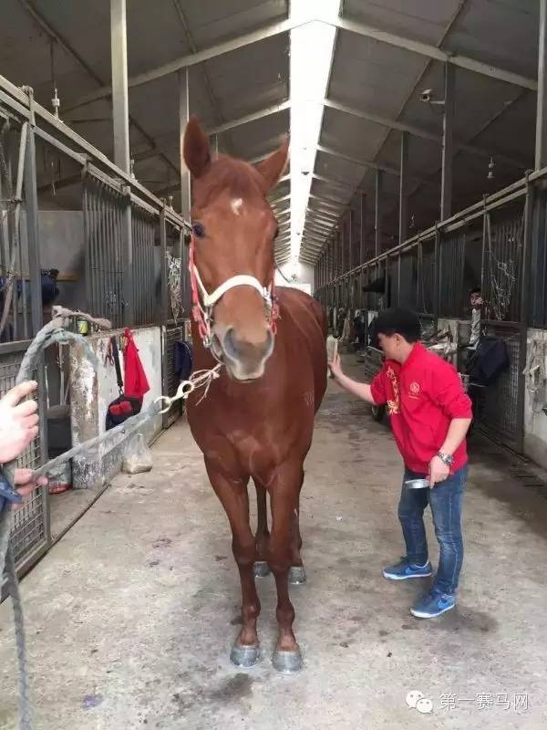 快跑100米用多少秒,快跑1000米