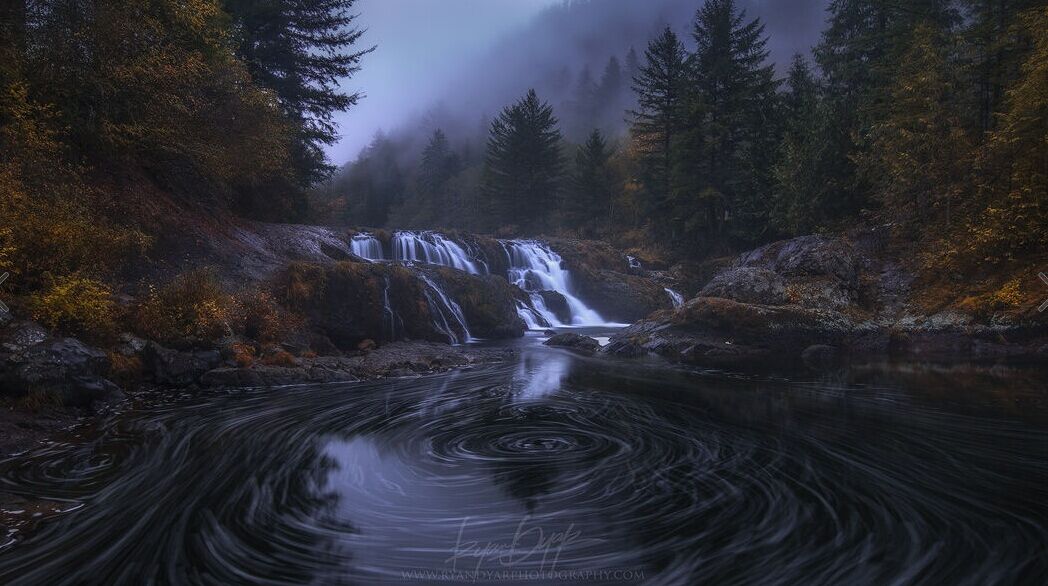 姊︿腑绉樺,姊﹂噷绉樺