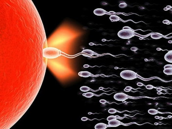 想要二胎怀不上？3个技巧帮帮你