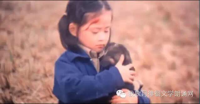 父爱如山感动亿万人的一首歌,父爱如山感人的故事