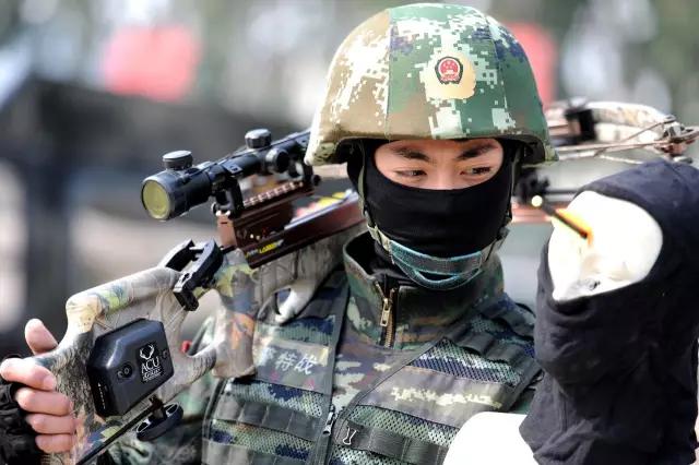 中国警用装备展直播,中国武警形象展播河南