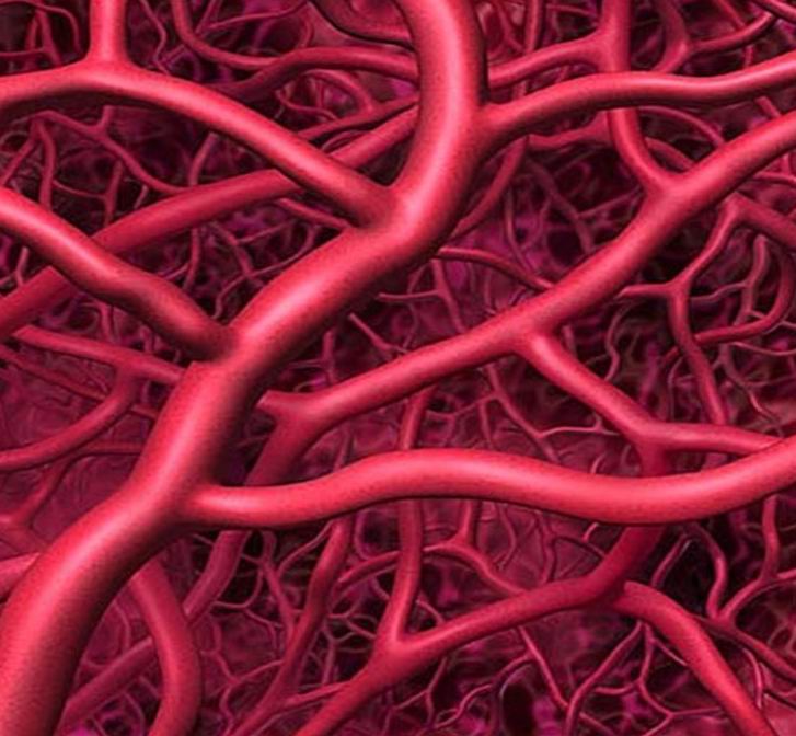 血管老化快寿命就短吗,血管特别细寿命就会短吗