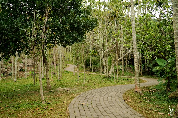 呀诺达，拾起我童年记忆的热带雨林