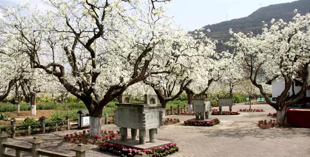 广元剑门关好耍不,广元昭化古镇两日游最佳安排