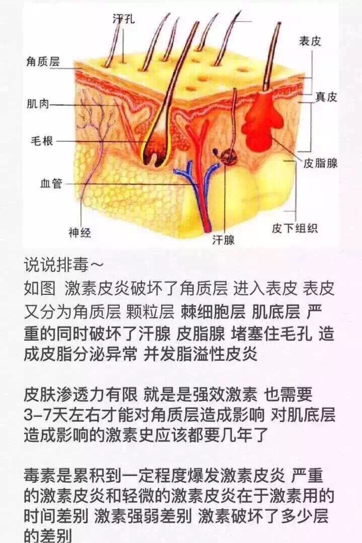 慎入！春季多发激素脸！你还要不要脸？