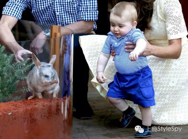 维密超模可儿,维密超模可儿视频