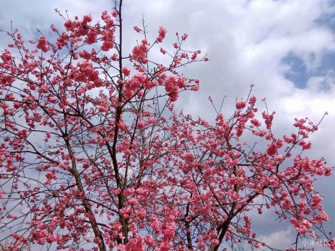 红米note3的拍照方法,红米note3不亮