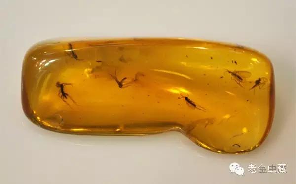 知己知彼百战不殆是最大的风险,知己知彼百战不殆揭示了什么