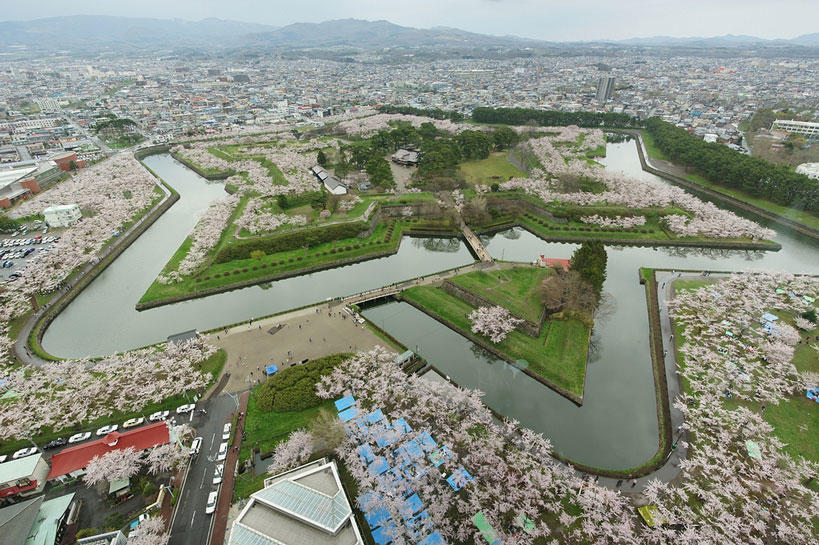 到底哪里才是12星座最不可辜负的樱花祭（上）