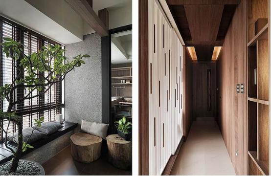 除新房异味用什么植物,新房里有异味的植物