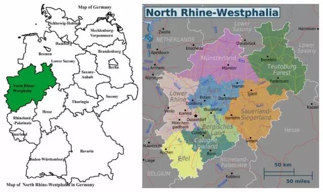猛虎嗅蔷薇读后感,猛虎嗅蔷薇原文