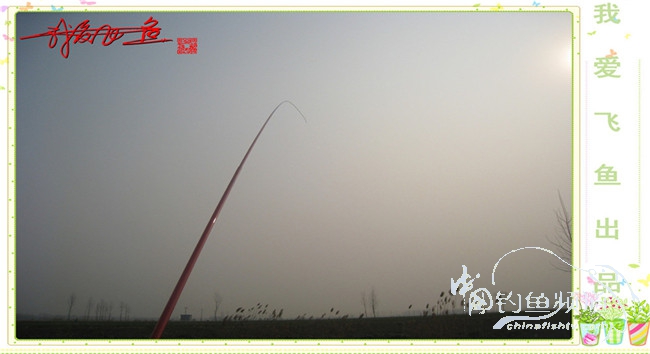 2016之我爱飞鱼觅得好钓点