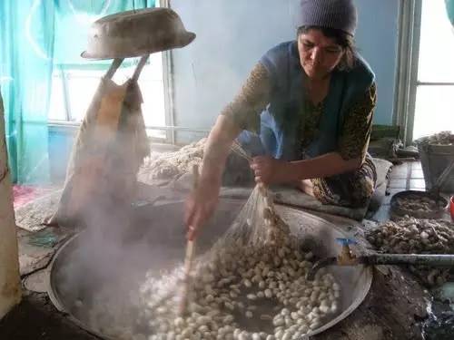 春蚕到死丝方尽整句诗,春蚕到死丝方尽图片