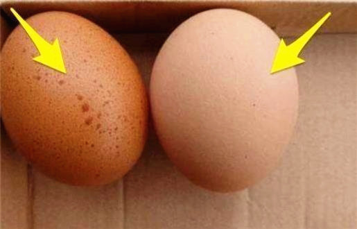 太可怕了！一颗有斑点的“鸡蛋”到底能不能吃？教你辨认新鲜鸡蛋