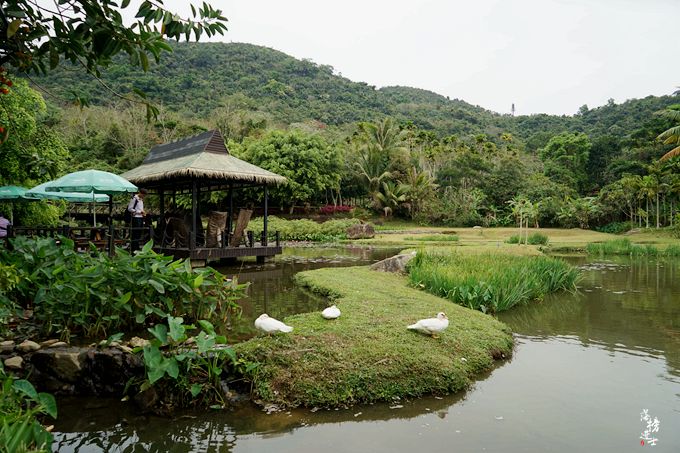 呀诺达，拾起我童年记忆的热带雨林