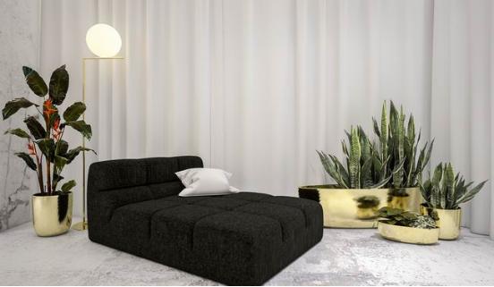 除新房异味用什么植物,新房里有异味的植物