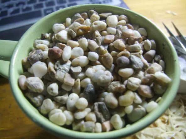 吃剩的柚子皮别扔了,吃剩的柚子种子