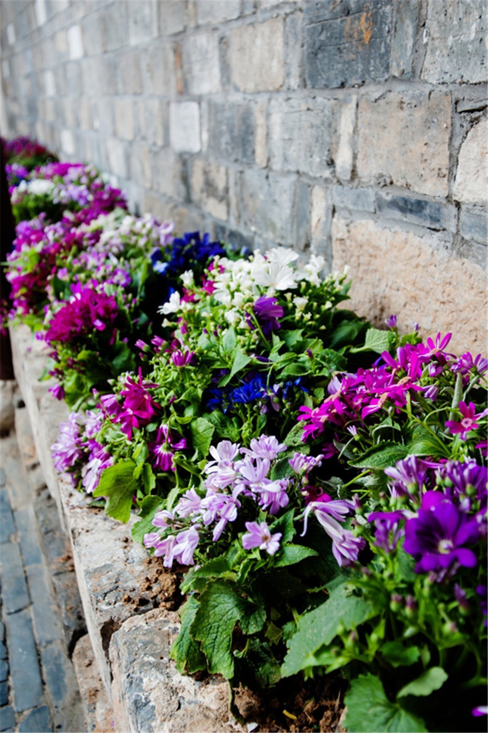 南京市轻奢美宿,南京新街口轻奢美宿