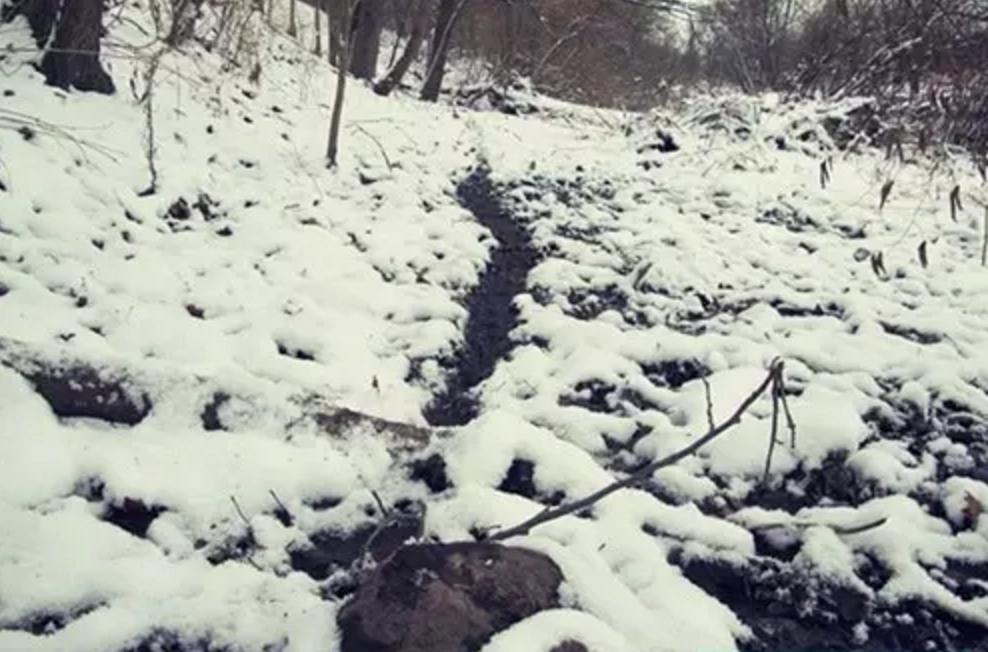 野外生存diy教你制作捕捉陷阱,野外求生陷阱简单大全