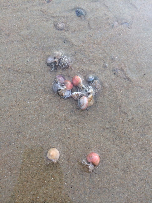 三亚结婚十周年蜜月,三亚旅游纪念日