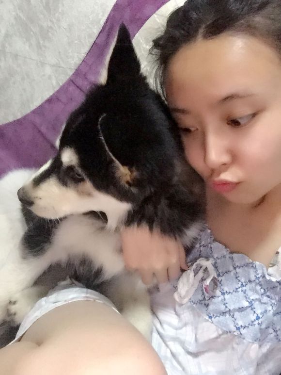 哈士奇拉肚子呕吐差点被卖给我狗的人害死