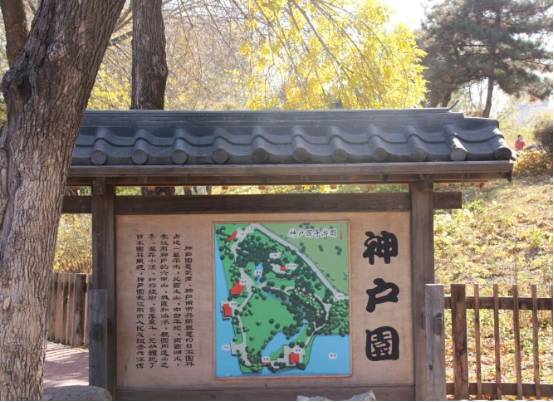 看樱花何必去远方,天津水上公园神户园樱花