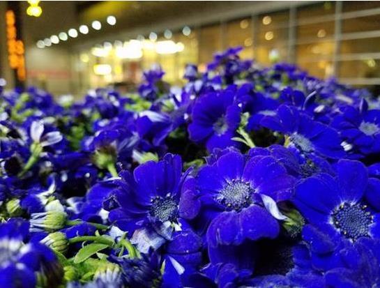 三星galaxys7怎么样,三星galaxys7fe测评