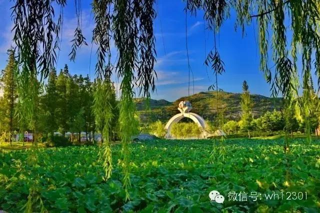 大乳山掠影，我是个奇迹