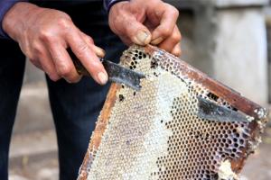 蜂蜜浓缩机对蜜的品质有影响吗,结晶蜜和浓缩蜜哪个更好