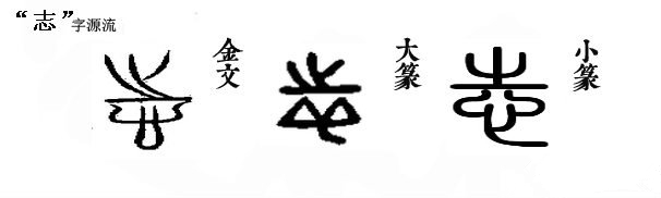 体悟汉字蕴含的聪颖,感悟汉字之魂