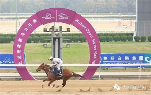 武汉赛马比赛时间表,武汉速度赛马公开赛入场时间