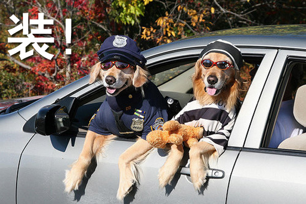 学问啊！一鼻子灰如何装成美容的铂金粉|夹叙夹议说东周10