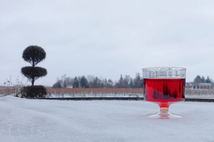 尼亚加拉珍稀冰酒,尼亚加拉冰葡萄酒