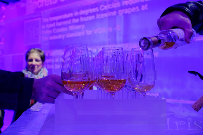 尼亚加拉珍稀冰酒,尼亚加拉冰葡萄酒