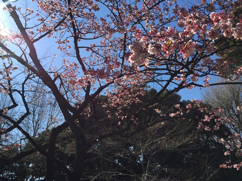 东京爱情故事日语,东京爱情故事有多少集