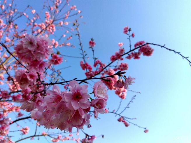 红米note3的拍照方法,红米note3不亮